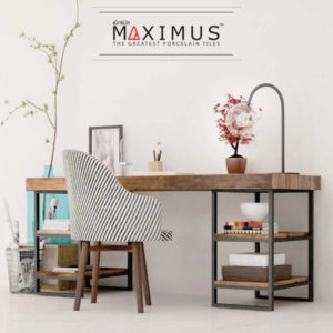 แค็ตตาล็อก Maximus 2020