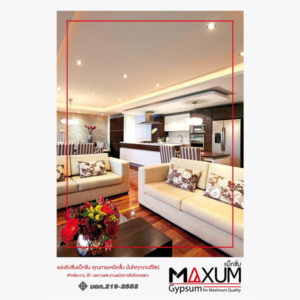 แค็ตตาล็อก Maxum Gypsum