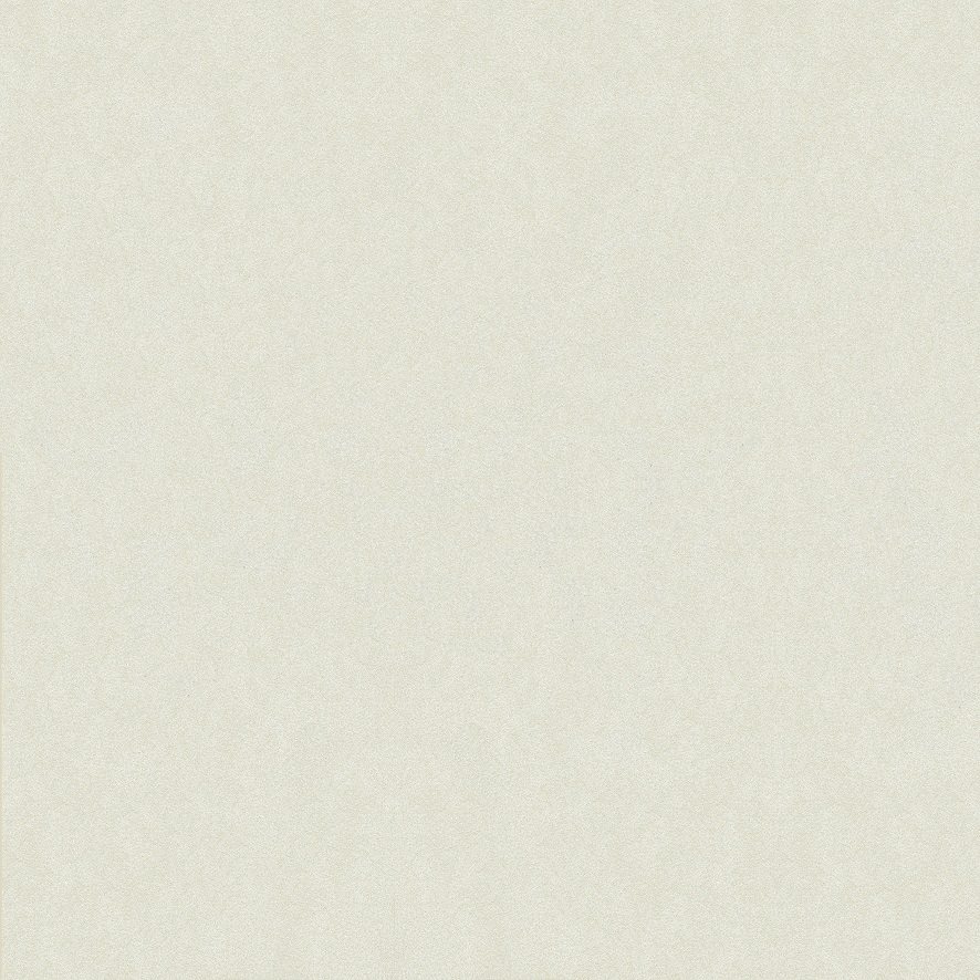 กระเบื้องพอร์ซเลน เบลเยี่ยม ไวท์ (G68025) Structure (1.44 Sqm.) 60x60 cm.